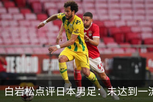 白岩松点评日本男足：未达到一流强队标准，仍需克服对荷兰的恐惧